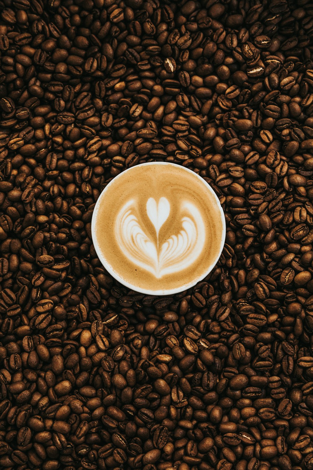Cappuccino in a bed of fresh roasted coffee beans.